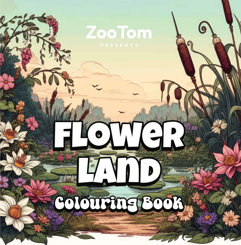 Flower Land